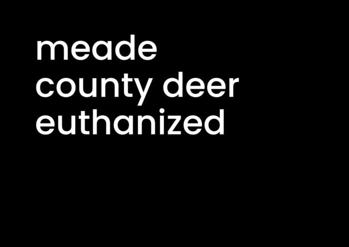 meade county deer euthanized