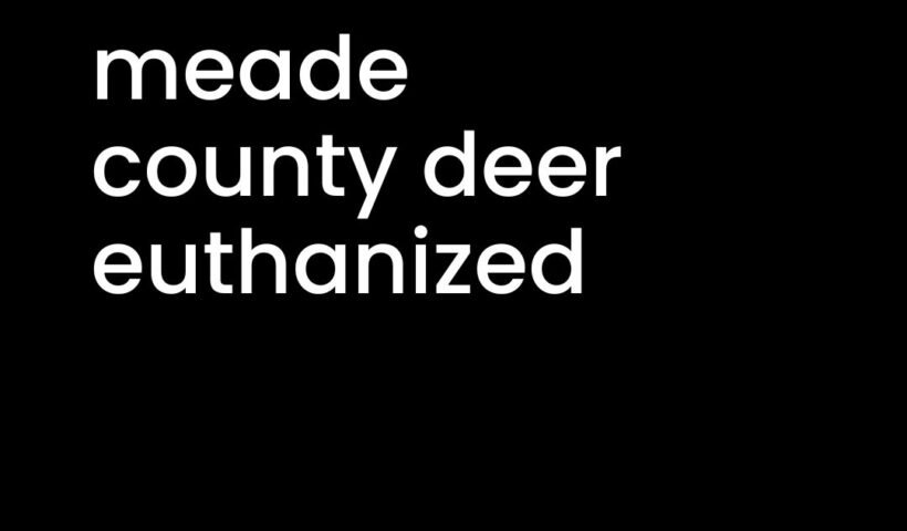 meade county deer euthanized