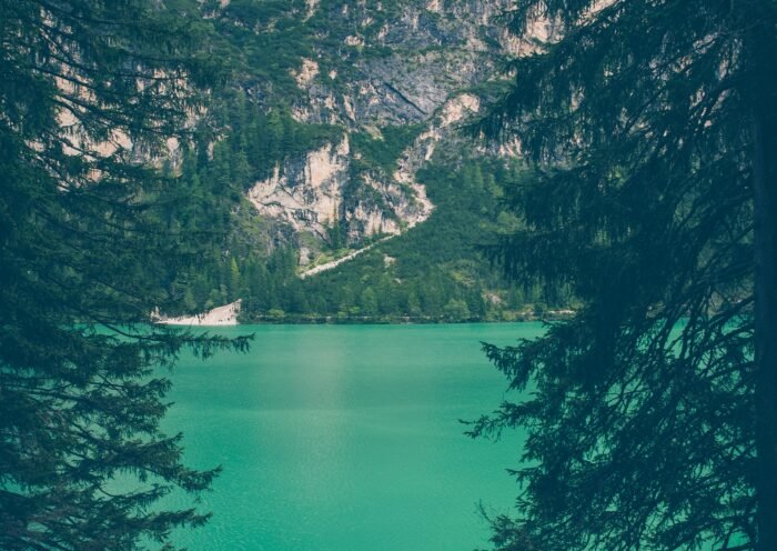 chautauqua lake homeowners algae concerns