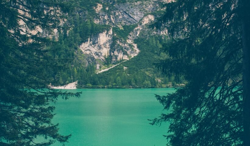 chautauqua lake homeowners algae concerns